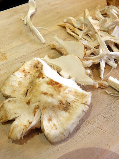 2026-10-13-matsutake1
