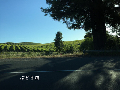2019-06-04-way7
