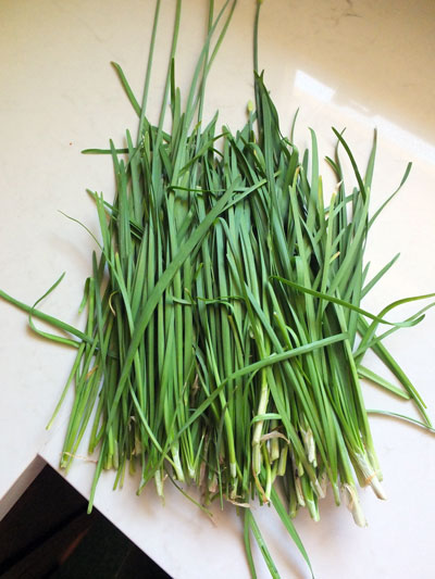 2017-08-01-chives9
