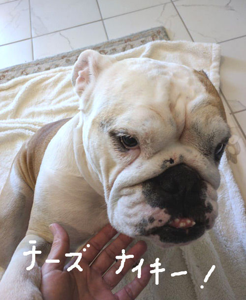 2019-01-23-nikie1