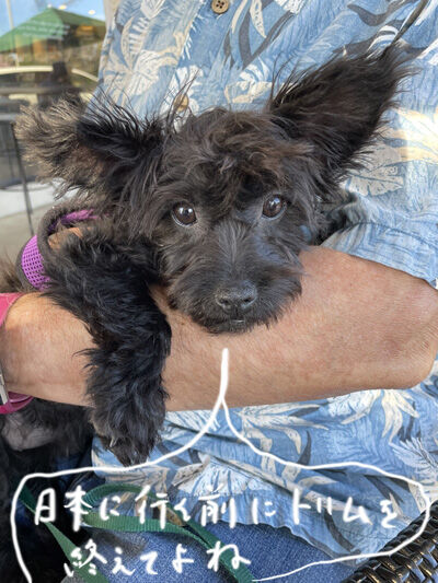 2024-03-17-kiki1