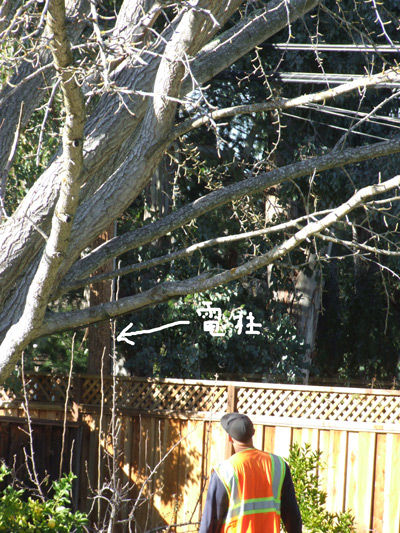 2019-10-08-pole1