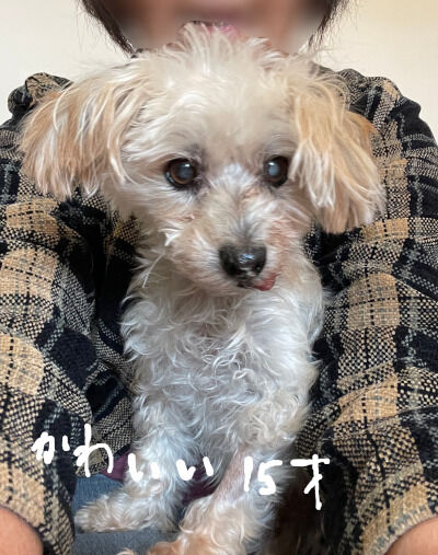 2024-11-02-rasta1