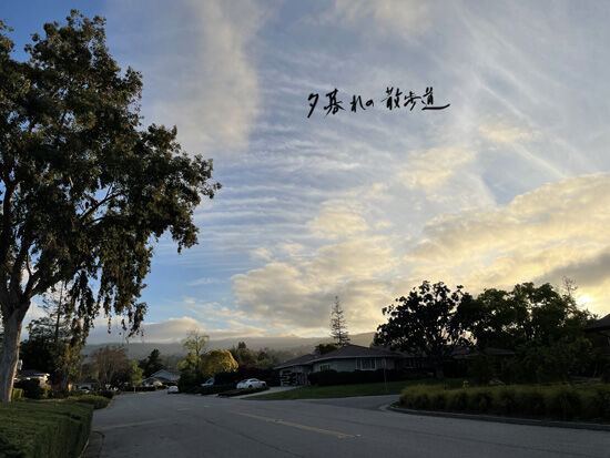 2022-04-01-walk6