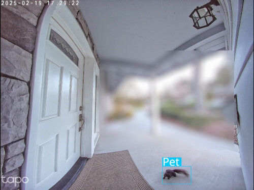 2025-02-19-camera1