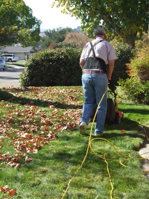 2013-10-26-lawn