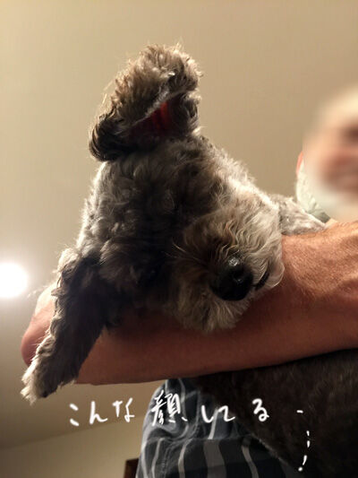 2020-07-17-judy2