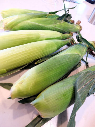 2024-08-21-corn1