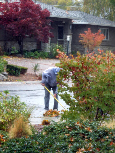 2021-10-24-rain1