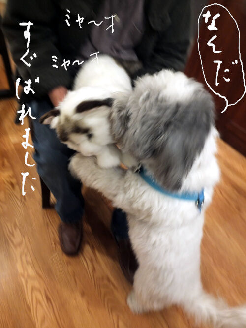 2026-01-19-charlie1