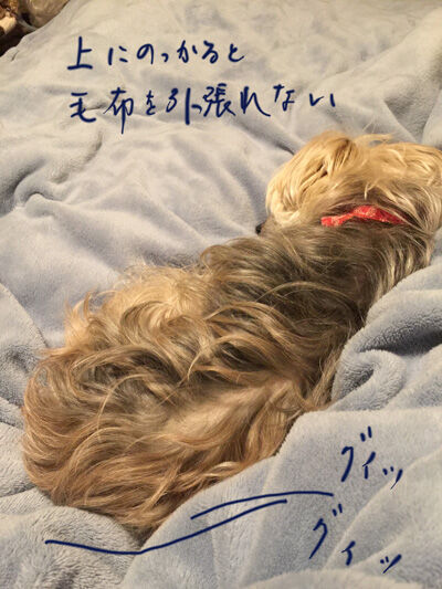 2021-03-11-rasta1