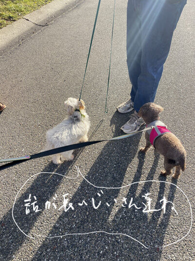 2022-05-22-dog1