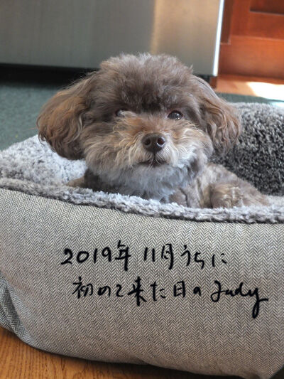 2023-03-27-judy1
