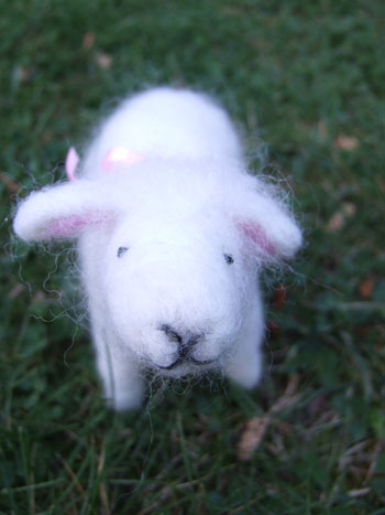 2015-04-19-sheep2