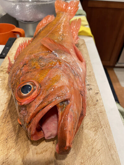 2023-01-06-dinner3