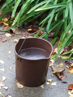 2014-11-30-bucket