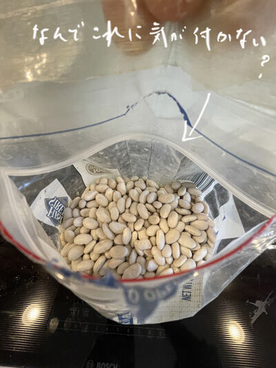 2023-01-26-bag3