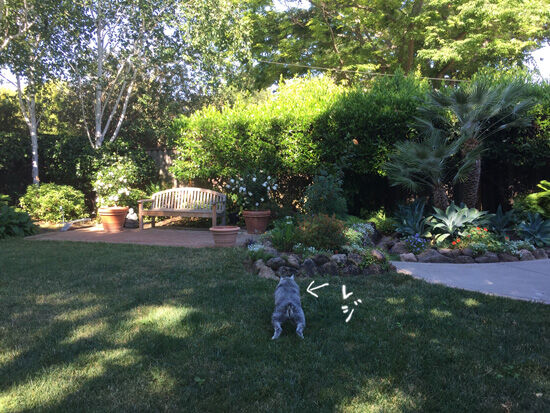 2021-06-29-reggie2
