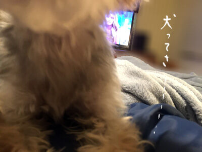 2021-03-24-rasta2