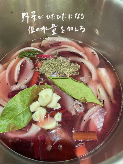 2024-02-19-beetsoup5