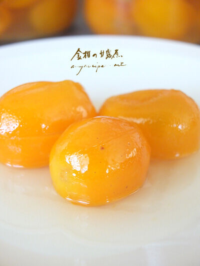 2024-02-25-kinkan3