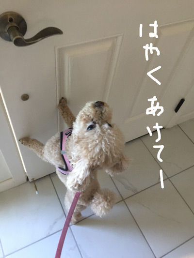 2019-07-07-an1