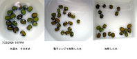 一日目