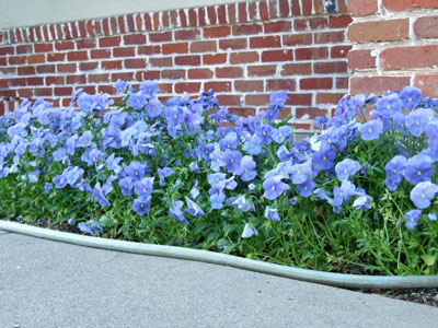 2012_05_10-5101