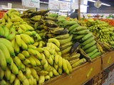 バナナ類