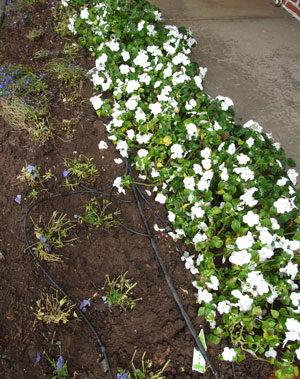 2012_08_05-inpatience