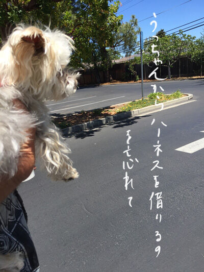 2021-05-24-rasta1