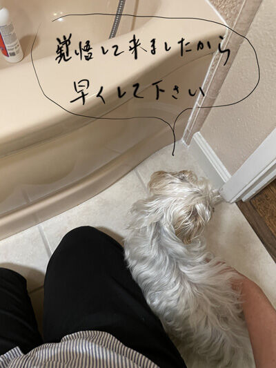 2022-04-03-rasta2