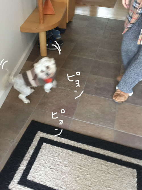 2019-01-04-rasta3