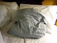 2010_09_29_pillow