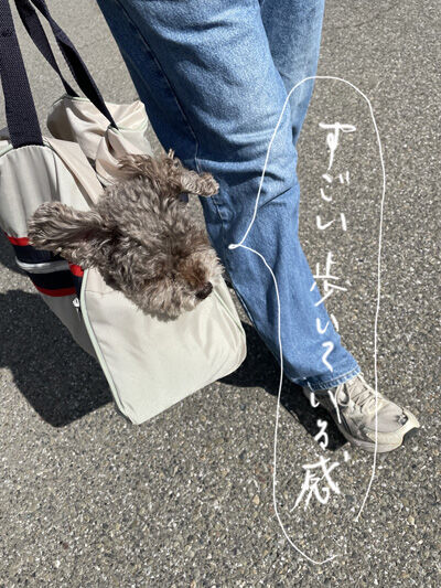 2022-05-24-judy2