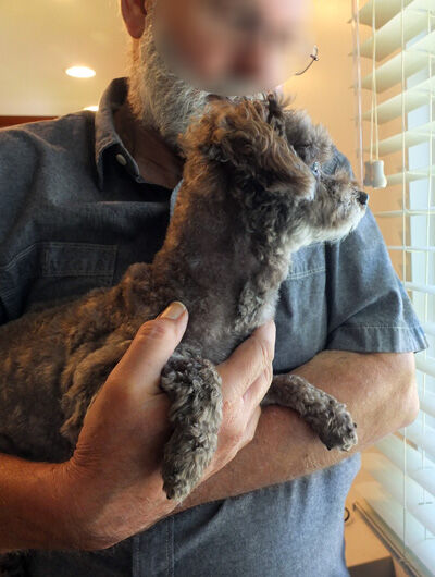 2020-07-02-tokoroten9