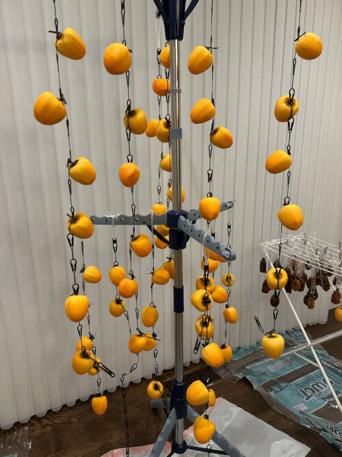 2025-12-03-hoshigaki4