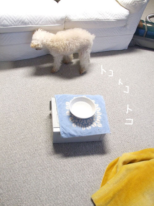 2018-03-28-chibi1