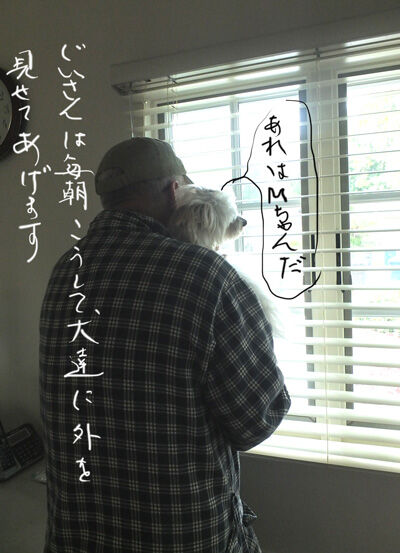 2022-04-11-rasta1