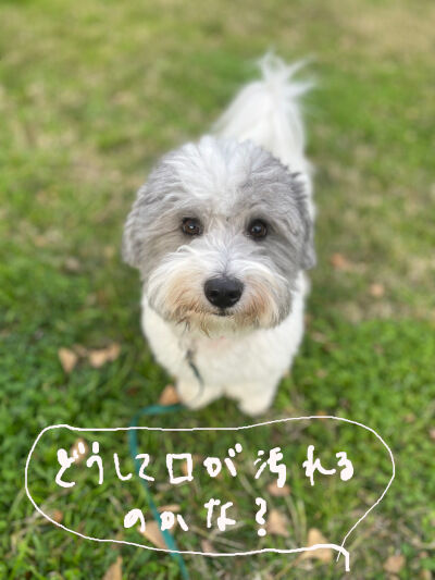 2024-12-25-charlie1