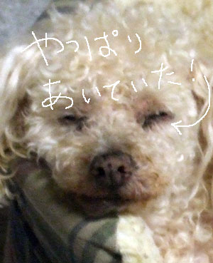 2013-07-06-chibi7
