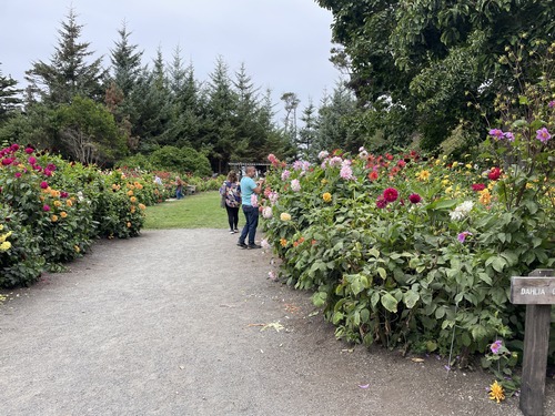 2025-08-30-botanicalgarden (4)