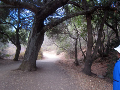2013-11-19-rancho2