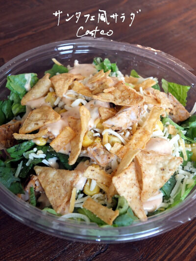 2024-12-05-costcosalad3