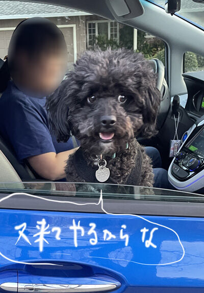 2023-02-18-oreo7