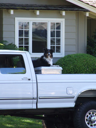 2011_09_08_katyawake