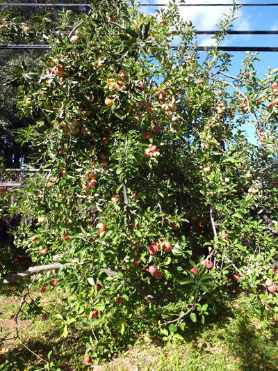2021-11-06-f5