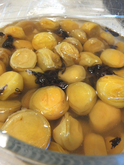 2019-07-02-umeboshi2