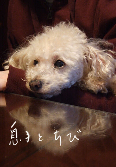 2020-08-08-chibi2