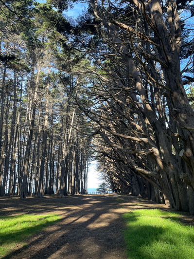 2026-03-01-halfmoonbay5